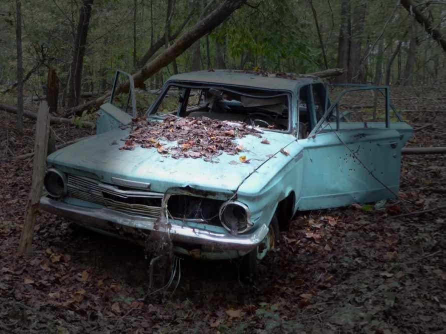 blogs/Get-Cash-For-Your-Junk-Car-Online-Easily-and-Quickly